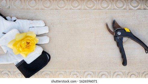 Overhead View Of Stone Bench With White Garden Gloves, Clippers And A Yellow Rose