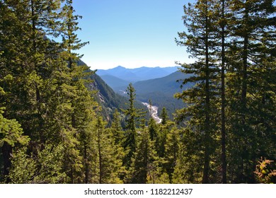 Overhead View Of Winding River From Between Evergreen Trees On Mountain Peak Near Mount Rainier