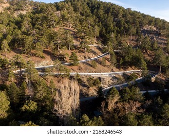 An Overhead View Of A Winding Road Through A Pine Forest