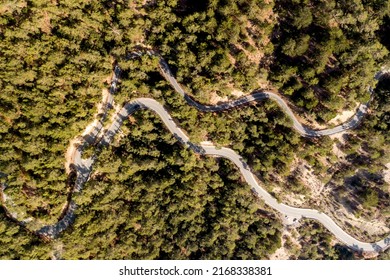 An Overhead View Of A Winding Road Through A Pine Forest