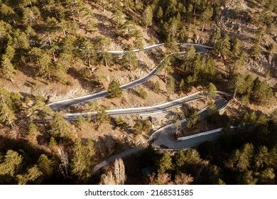 An Overhead View Of A Winding Road Through A Pine Forest