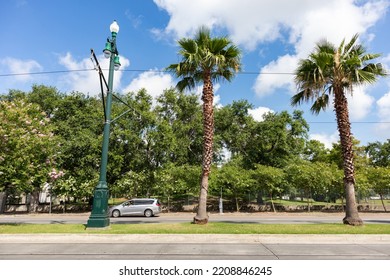 Overhead Wires For The Street Cars On Rampart Street In New Orleans