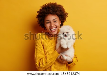 Similar – Image, Stock Photo walk Pet Dog 1 Animal Jump