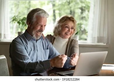 Overjoyed Mature Man And Woman Using Laptop, Chatting, Making Video Call To Relatives, Excited Elderly Couple Reading Good News In Email, Celebrating Online Lottery Win, Enjoying Leisure Time