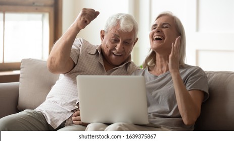 Overjoyed senior spouse couple sit on couch relaxing feel euphoric winning online lottery on laptop, excited mature husband and wife triumph reading good news on computer, elderly technology concept - Shutterstock ID 1639375867