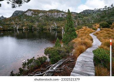 The Overland Track in Tasmania - an Australian bushwalking track, traversing Cradle Mountain-Lake St Clair National Park