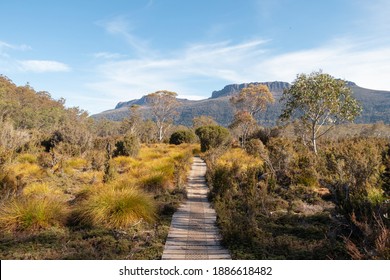 Overland track wooden boardwalk - Tasmania
