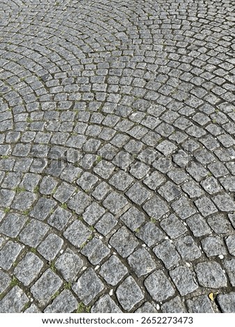 Overlapping arcs pattern grey granite setts