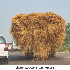 Overloaded Truck Or Tractor Carrying Hay, Dried Grass On The Highway Which Leads To Traffic Jam 