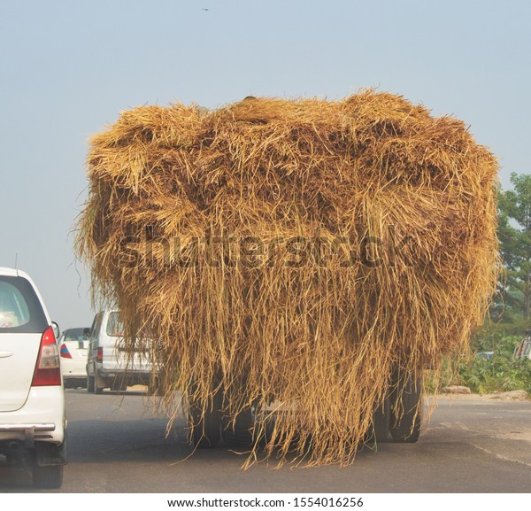 Overloaded truck or tractor\
carrying hay, dried grass on the highway which leads to traffic jam\
