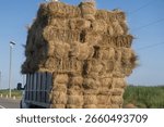 Overloaded truck transporting numerous rectangular hay bales on a rural road under a clear blue sky, showcasing agricultural transport and harvest abundance
