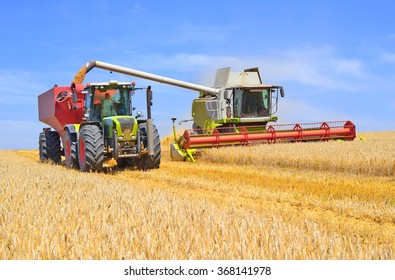 Overloading grain harvester into the grain tank of the tractor trailer. - Shutterstock ID 368141978