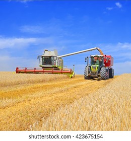 Overloading grain harvester into the grain tank of the tractor trailer - Shutterstock ID 423675154