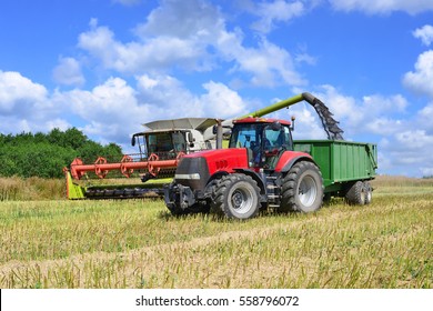 Overloading of rape with grain harvester in tractor trailer tank - Shutterstock ID 558796072