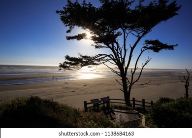 Overlook At Kalaloch Beach