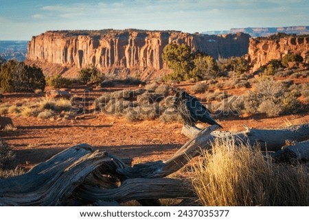 Overlook of the Rugged Landscape at Canyonlands National Park in southeastern Utah, USA