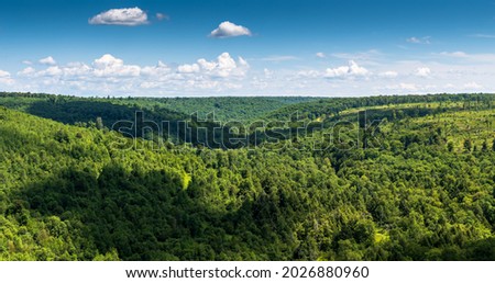 Overlooking the Allegheny National Forest in Mt Jewett, Pennsylvania, USA on a sunny summer day