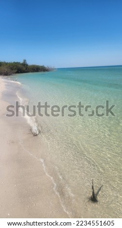 Overlooking the clear blue waters of Shell Key Preserve; seashells are hung by the islands visitors to 