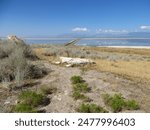 Overlooking Davis County Causeway, Road to Antelope Island State Park, Utah, USA