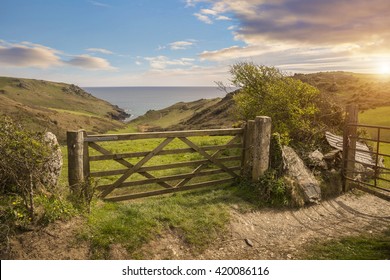 Overlooking A Farm Gate Towards The Sea, Devon, England.
