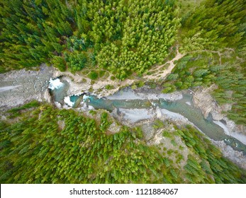 Overlooking Forest River