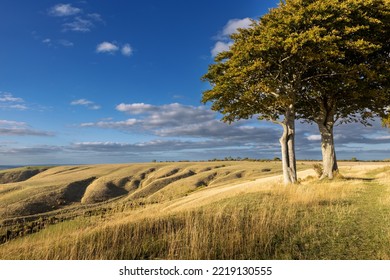 Overlooking The Iron Age Hill Fort At Roundway Down