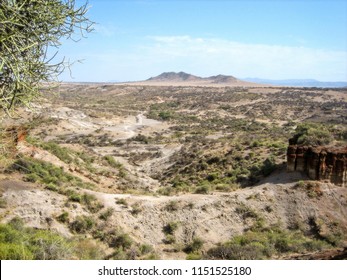 Overlooking Olduvai Gorge