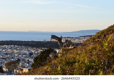 Overlooking the Outer Sunset district and Pacific Ocean in San Francisco, CA