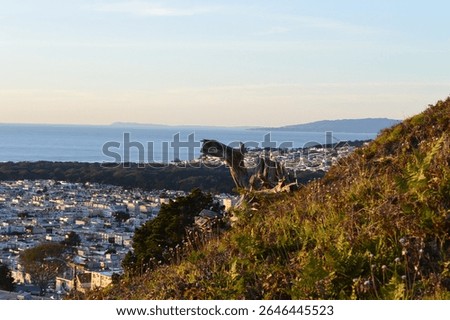 Overlooking the Outer Sunset district and Pacific Ocean in San Francisco, CA