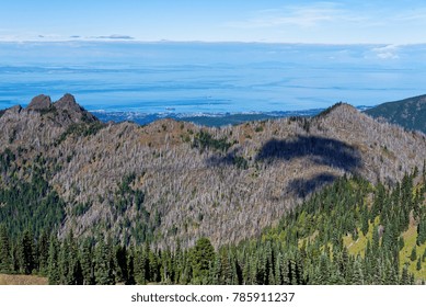 Overlooking Port Angeles WA, Victoria BC And The Strait Of Juan De Fuca From Hurricane Hill, Olympic National Park