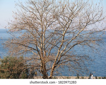 Overlooking The Thermaic Gulf In Thessaloniki, Greece.