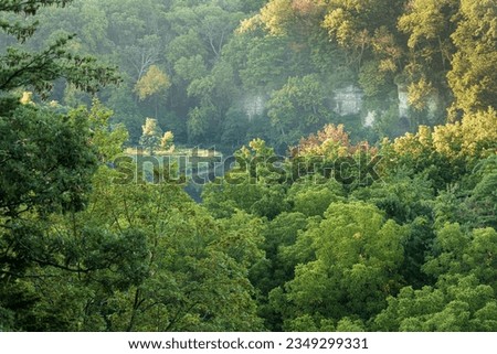 overlooking a valley with trees, river, and a cliff