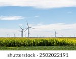 An overlooking view of windmills in Virginia Beach, Virginia