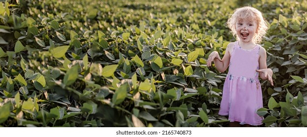 Overpasted Farmer Girl In Soybean Field In Summer. A Funny Weird Girl Has Fun In A Soybean Field In The Summer At Sunset.