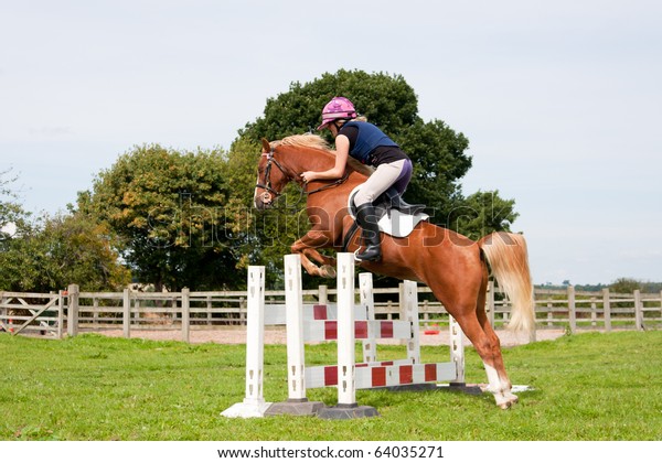 chestnut horse jumping high