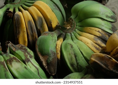 Overripe Bananas with A Unique and Blend of Yellow and Green Banana Colors - Shutterstock ID 2314937551