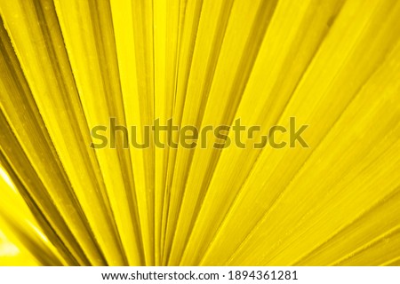 An oversized tropical leaf pattern was shot in macro style. The photo was repainted in yellow for your fresh design. There is a space for text.