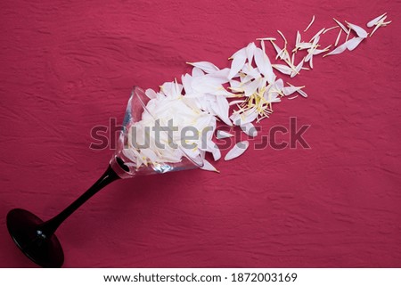 Similar – Image, Stock Photo Cheers! Champagne glass overturned, black and white.