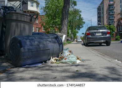 Overturned Garbage Bin On Sidewalk