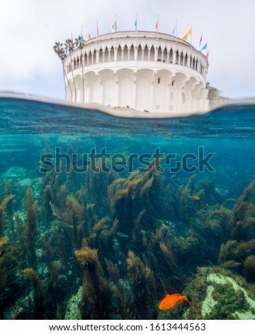 Over-Under of the Casino Building and the Underwater World of Catalina Island in California
