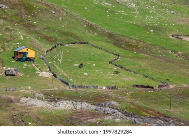 Overview Of Graze Field And Green Lanscape In Ushguli, Svaneti, Georgia. Nature