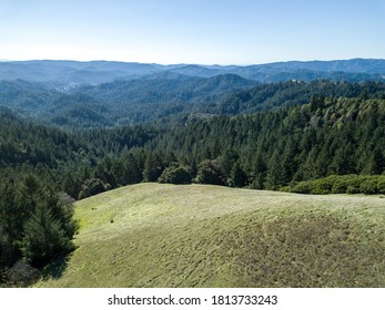 42 Armstrong woods state park Images, Stock Photos & Vectors | Shutterstock