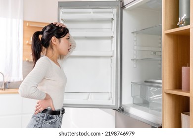 Overwhelmed Pretty Young Korean Lady Checking Her Fridge At Home, Desperate Hungry Woman Looking Inside Empty Cooler With No Groceries And Touching Her Head, Side View, Copy Space