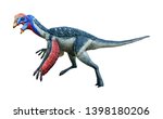 Oviraptor is a carnivorous genus of small Theropod dinosaurs, Oviraptor lived in the late Cretaceous period, isolated on white background with clipping path