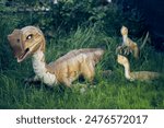 The oviraptor chick blinks its eyes against the background of grass. The effect of eye movement. A dinosaur is a small bird with a beak. High quality photo