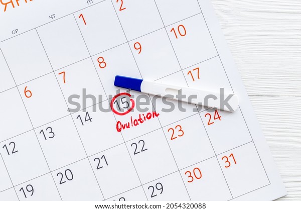 Ovulation\
day mark in calendar with ovulation home\
test