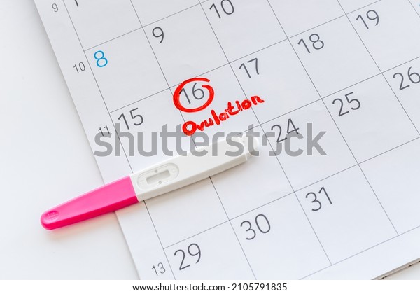 Ovulation\
day mark in calendar with ovulation home\
test