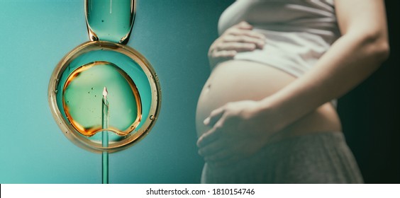 Ovum with needle and sperm for artificial insemination or in vitro fertilization. Concept of artificial insemination or fertility treatment. Image