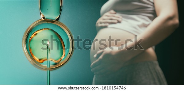 Ovum with needle and sperm for\
artificial insemination or in vitro fertilization. Concept of\
artificial insemination or fertility treatment.\
Image