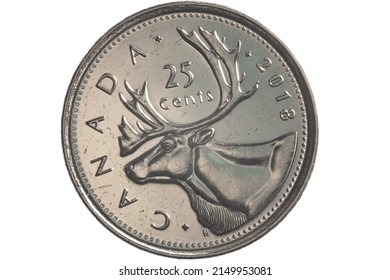 Owen Sound, Ontario - April 26, 2022: Circulated Silver Canadian Quarter On A White Background, Depicting Caribou Head.